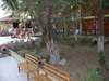 Malis Garden Hotel 